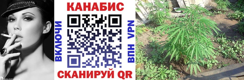Канабис планчик Старый Крым